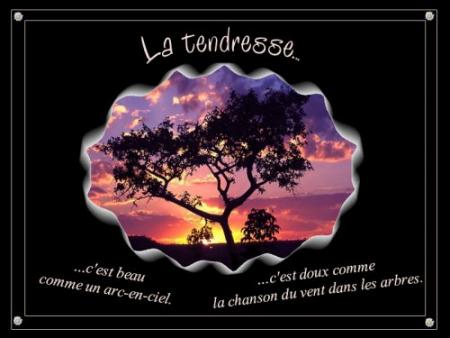 la tendresse, c'est...............