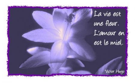 Bella la vidad............