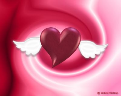 Des ailes ...............