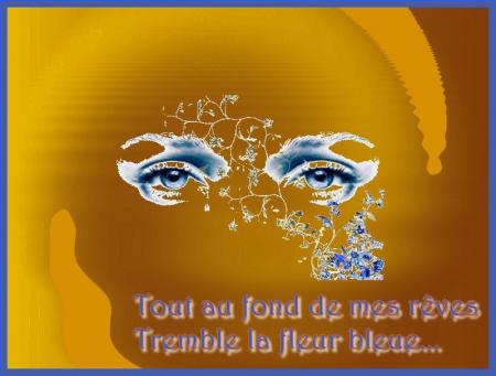 Ce n'&eacute;tait qu'un r&ecirc;ve