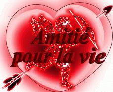Toute une vie .......................
