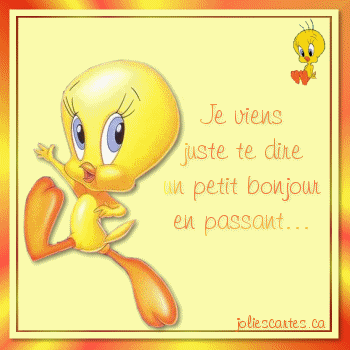 C'est aujourd'hui Dimanche...........