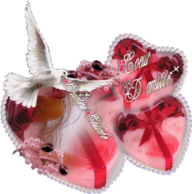 Bonne journ&eacute;e &agrave; tous