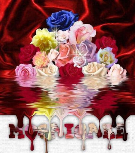 Bon week-end &agrave; tous........................